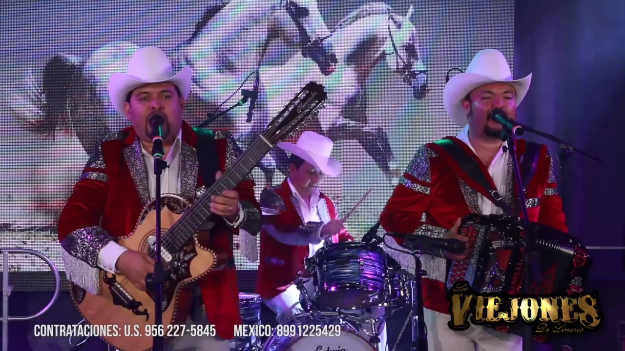 Los Viejones De Linares - Los Dos Amigos (En Vivo)