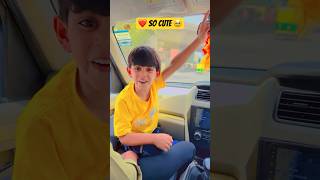 Kabutar Mare Gullel Next Level Cute The Boy