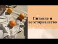 Питание и  вегетарианство | телепатический сеанс отключения интерференции