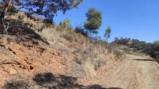 TERRENO RÚSTICO COM 5.550 M2 - COM ÁGUA - CONCEIÇÃO - TAVIRA - ALGARVE