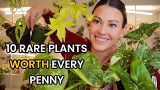 10 Rare Plants WORTH Every Penny  Uncommon Houseplants That You Will Love