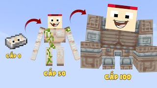 Minecraft Nhưng Là Một Cục Sắt