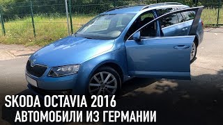 Skoda Octavia // Автомобили из Германии видео
