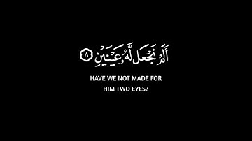 #سورة #البلد لا أقسم بهذا البلد #محمد_أحمد_حسن #القرآن_الكريم #تلاوة_خاشعة