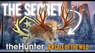 The Secret on How to ACTUALLY Grind Moose (5 Step Process) | The Hunter Call of the Wild