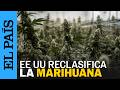 La ADMINISTRACIÓN TRUMP saca a la MARIHUANA del grupo de DROGAS PELIGROSAS | EL PAÍS