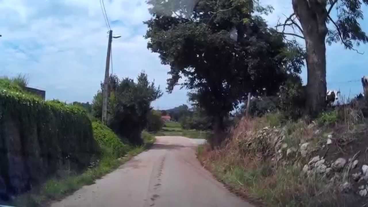 Gajano