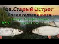 Русская Рыбалка 4 Оз.Старый Острог ( голавль ,язь и 2 трофея)