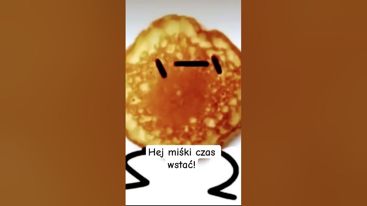 Hej miśki czas wstać Hej miśki czas wstać