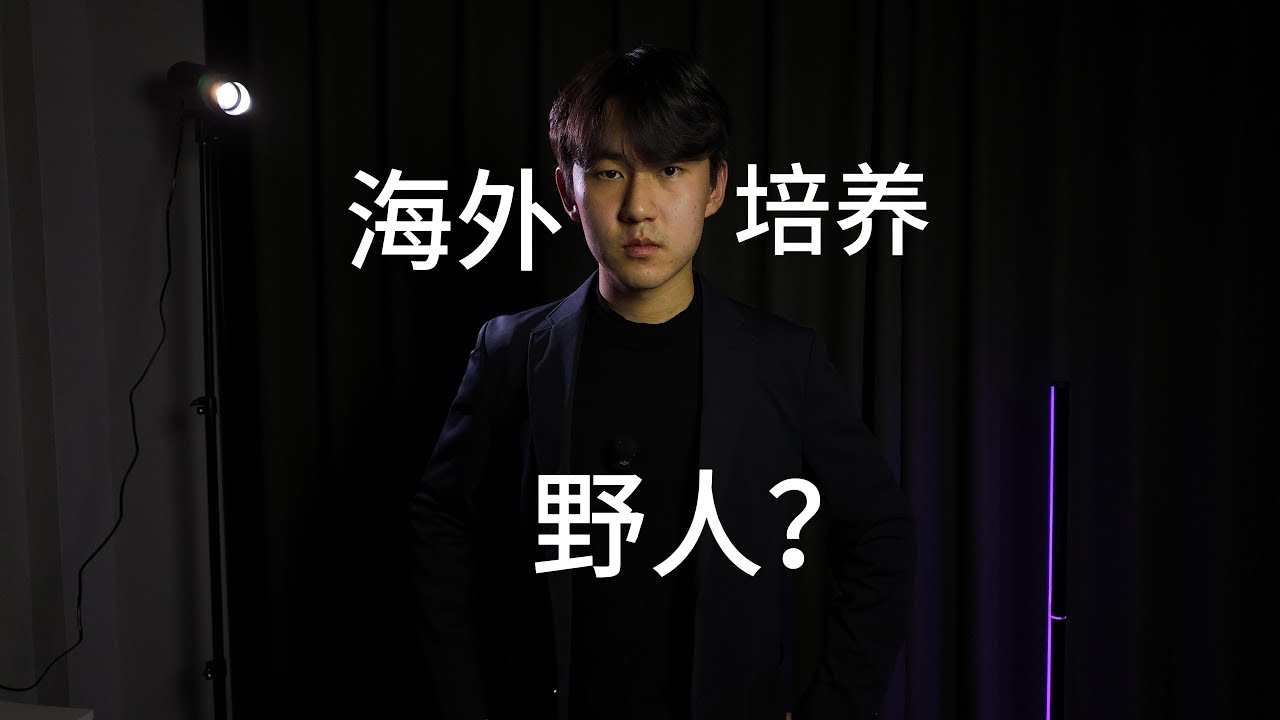 在新西兰上高中的时候的故事....