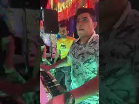 من تانى رجعين بندغدغ كفرالشيخ القديم يكسب ورقص الحصان حماده محرم