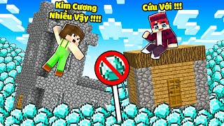 Làng Sinh Tố tràn ngập Kim Cương trong Minecraft