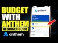 How to budget with Anthem - Beginner Guide