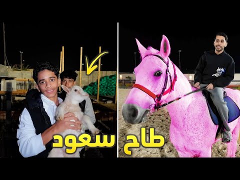 اول مره نروح اسطبل الخيول سعود جاب العيد