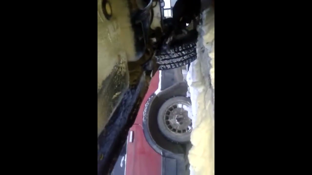 Убрать жуки на автомобиле