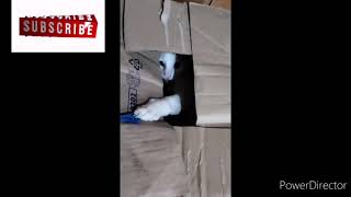 What's in the box? by Steve the puspin 1,114 views 3 years ago 9 minutes, 29 seconds
