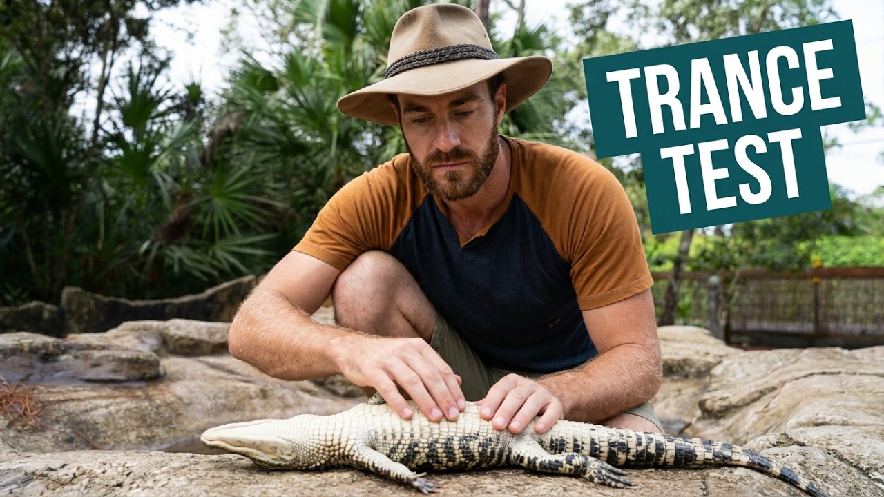 How to Hypnotize an Alligator!