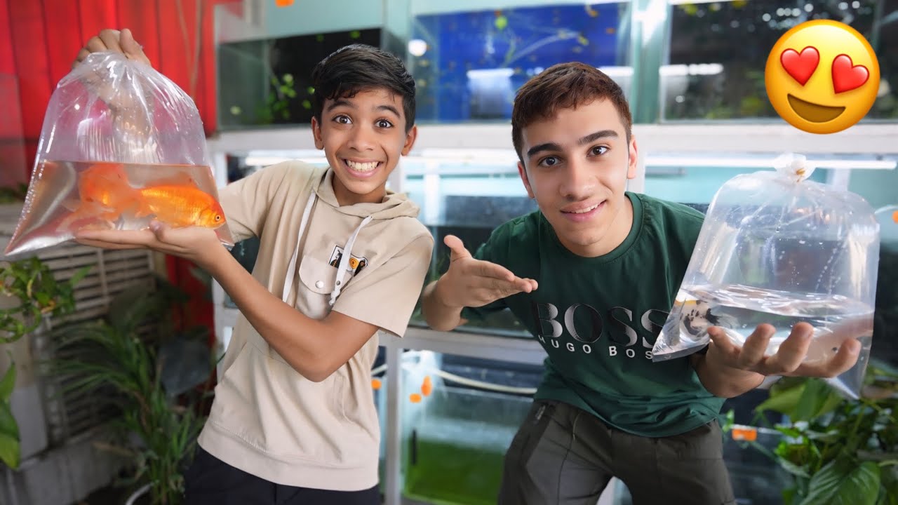 Мы купили потрясающий аквариум, вы не захотите его пропустить! 😍🔥