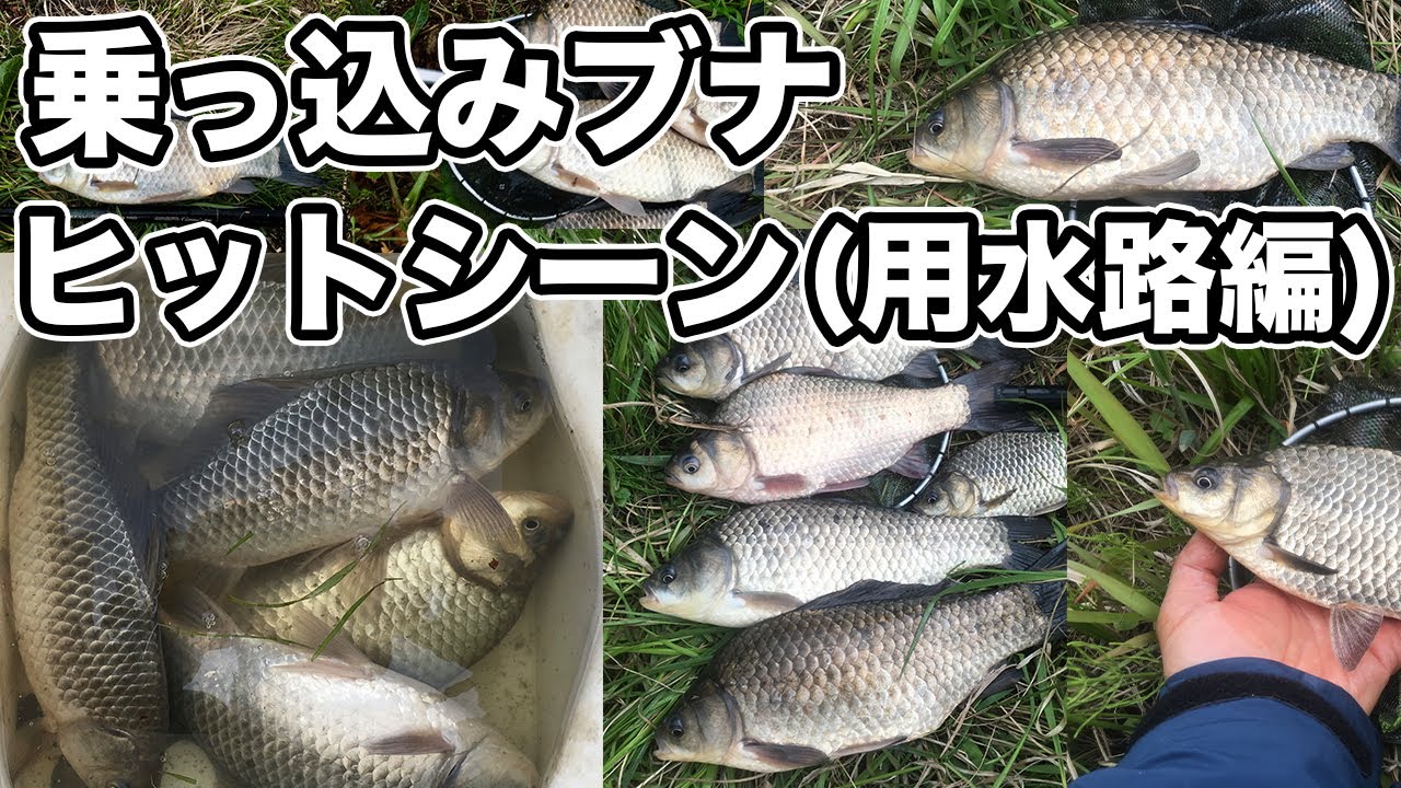 乗っ込みブナ釣り シモリ仕掛け 作り方 小物釣り フナ釣り ふな釣り 用水路 Youtube