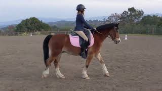 Celebrity Misty Canyon Sisqo Kyd | Training 1 Youth Rider Profile