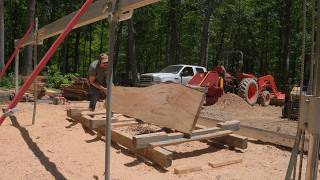 Nasty Log, Pretty Wood - Big Red Maple