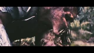 Young predator crash land in the Badlands | predator badlands 