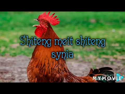 Shiteng meit shiteng synia