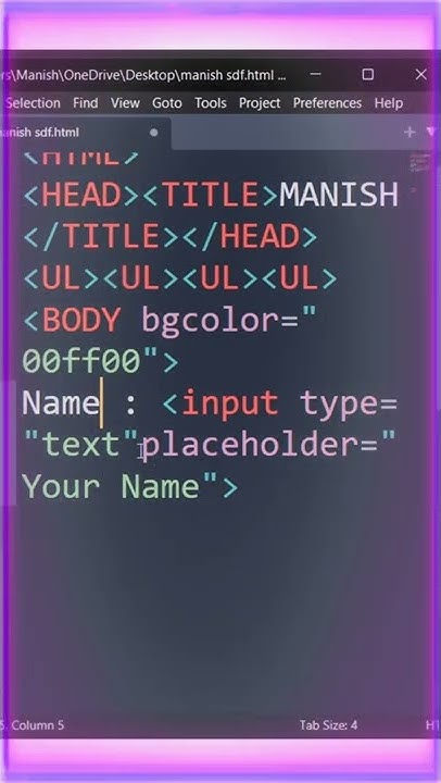 How to insert a Text box in HTML - YouTube
