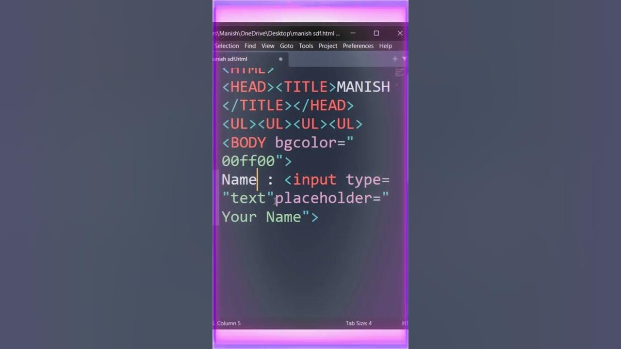 How to insert a Text box in HTML - YouTube