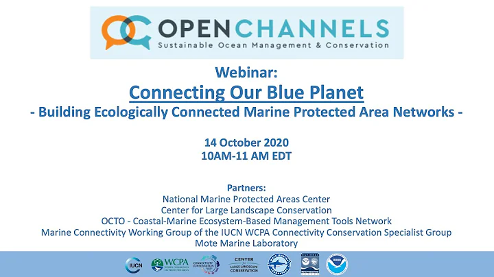 Connecting Our Blue Planet: Building Ecologically Connected Marine Protected Area Networks