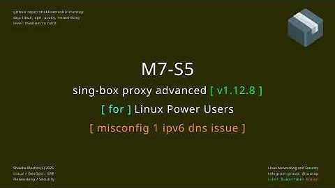 singbox proxy advanced M7 S5  misconfig ipv6 dns