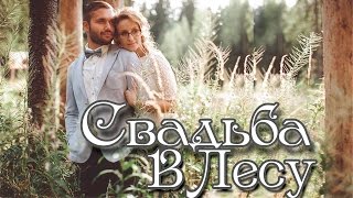 Оригинальное оформление свадьбы. Летняя лесная свадьба. Оригинальное оформление свадьбы. Летняя лесная свадьба.