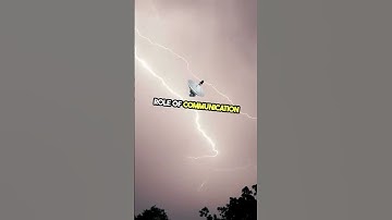 Exploring the Global IT Outage Caused by CrowdStrike