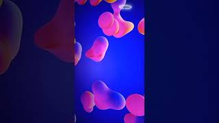 en vivo de ultra high defifinition 4k screensaver 3 hours long- colorful bubbles