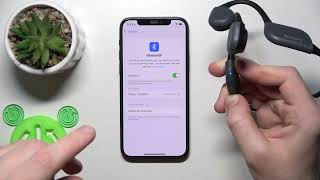 How to Perform a Soft Reset of PHILIPS TAA6606 screenshot 5