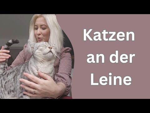 Wie ich meinen