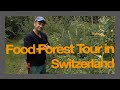 Food forest tour with daniel lis  switzerland