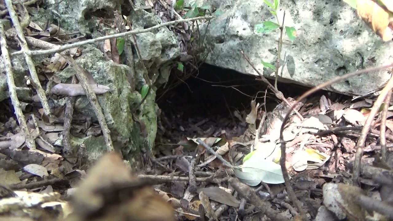 Visiting the actual West Rim Cave.