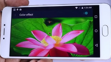 10 Awesome Features of Yu Yunicorn (Tips and Tricks)