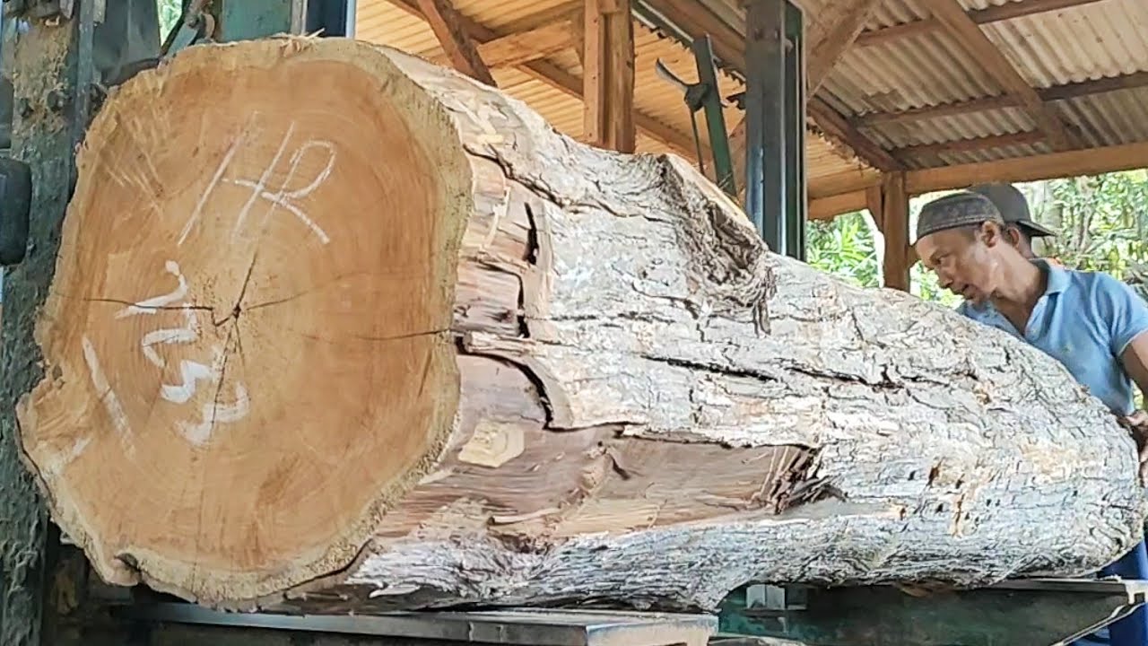 the process of sawing the most beautiful old teak wood, full of ...
