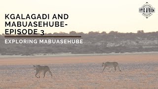 Mabuasehube and Kgalagadi: Episode 3 - Exploring Mabuasehube