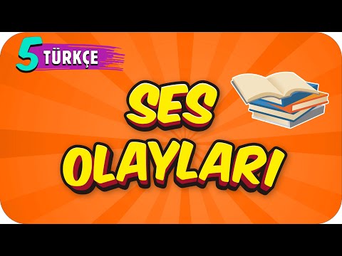 5. Sınıf Türkçe: Ses Olayları #2022