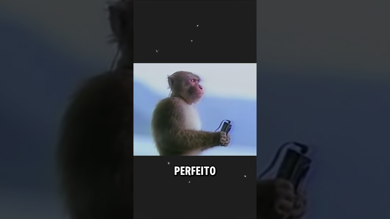 O nome do SPOTIFY foi um ÁUDIO ERRADO 💀
