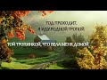 ● Алёнушка ~ Виктор Петлюра ~ текст / lyrics