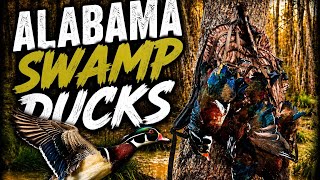 ALABAMA DUCK SEASON SPLIT OPENER | Duck Hunting The Alabama Swamps