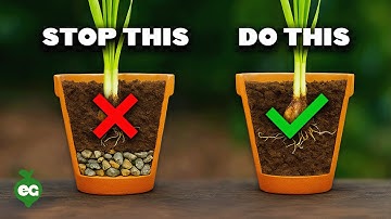 STOP Putting Gravel At The Bottom Of Your Pots!