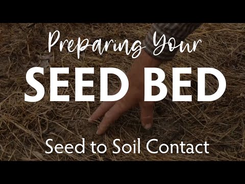 Preparing Your Seed