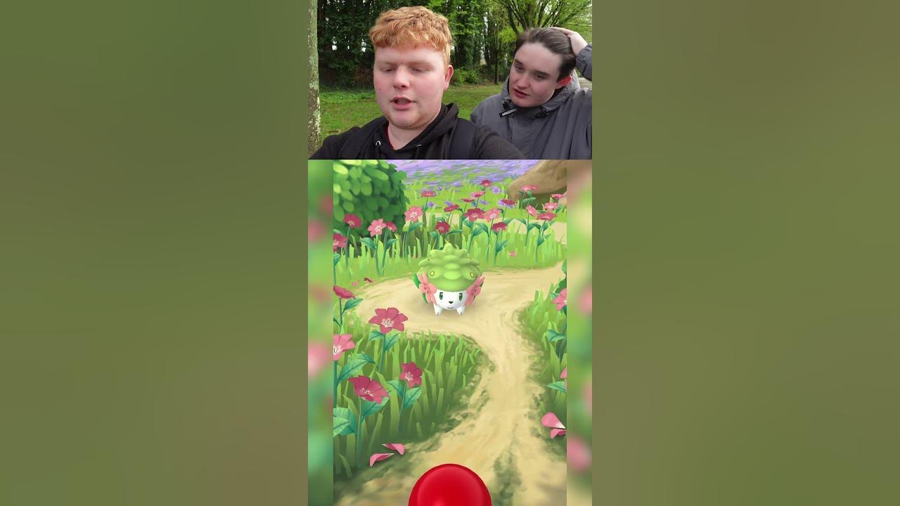 Pokémon Go Releases Free Special Research for Players to Catch Shaymin  After Almost a Year - Gamepur