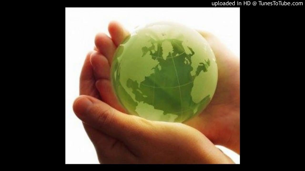 Всё то, чего коснется человек, озарено его душой живою. Эссе. Философские темы для сочинения. Симба прикол. Темы эссе по обществознанию.