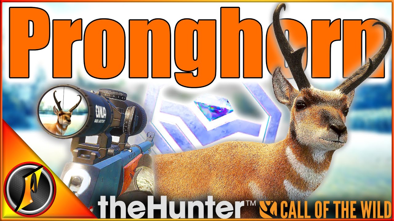 The NEW DIAMOND Pronghorn are AMAZING! | Askiy Ridge theHunter Call of ...